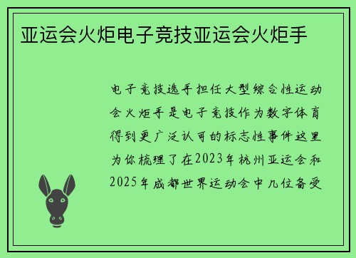 亚运会火炬电子竞技亚运会火炬手